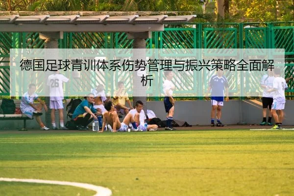 德国足球青训体系伤势管理与振兴策略全面解析